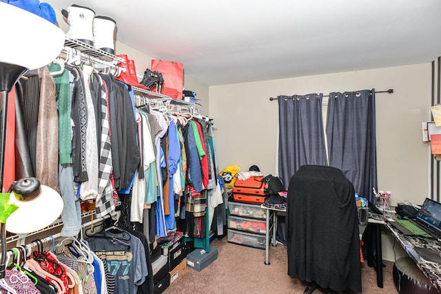 spacious closet with carpet