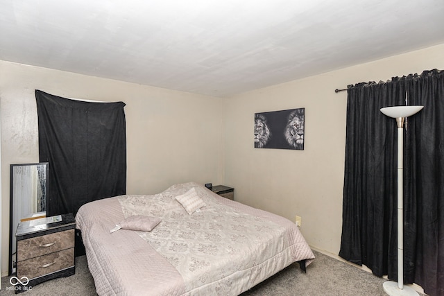 bedroom featuring carpet flooring