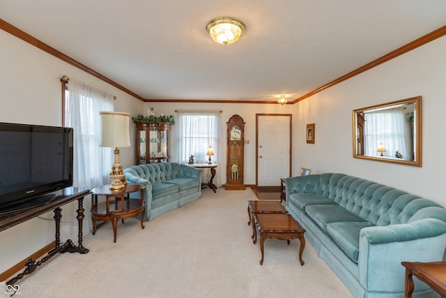 living room featuring ornamental molding and carpet