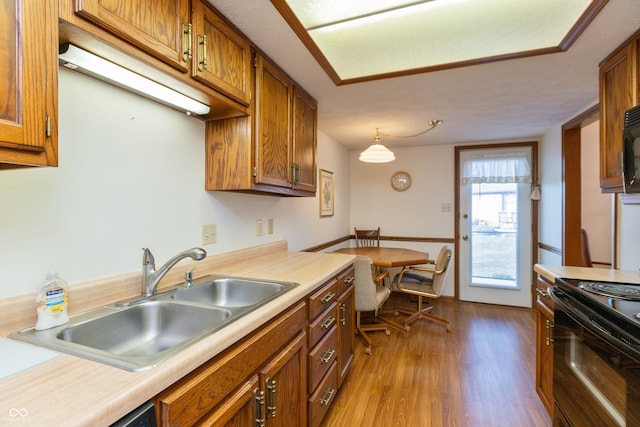 kitchen with hanging light fixtures, sink, black appliances, and light hardwood / wood-style flooring