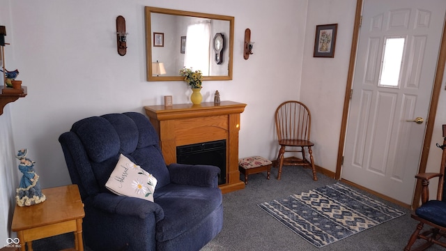 living area featuring carpet floors