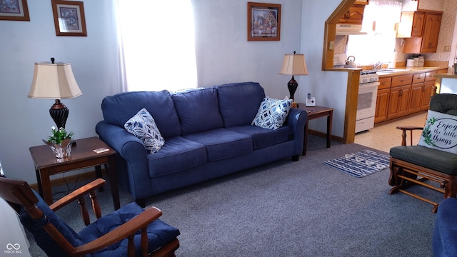 living room featuring sink and light carpet