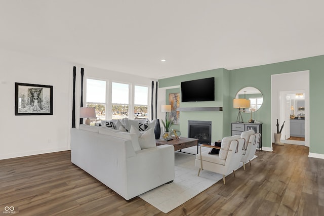 living room with wood-type flooring