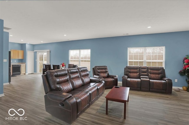 living room featuring hardwood / wood-style floors