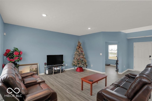 living room with hardwood / wood-style flooring