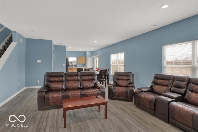 living room with wood-type flooring and plenty of natural light