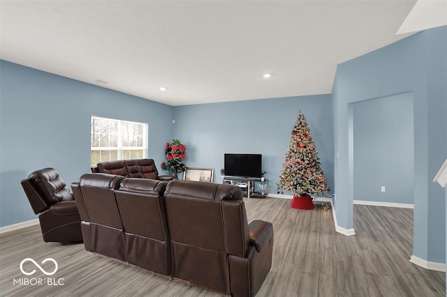 living room featuring light hardwood / wood-style floors