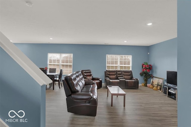 living room with hardwood / wood-style flooring