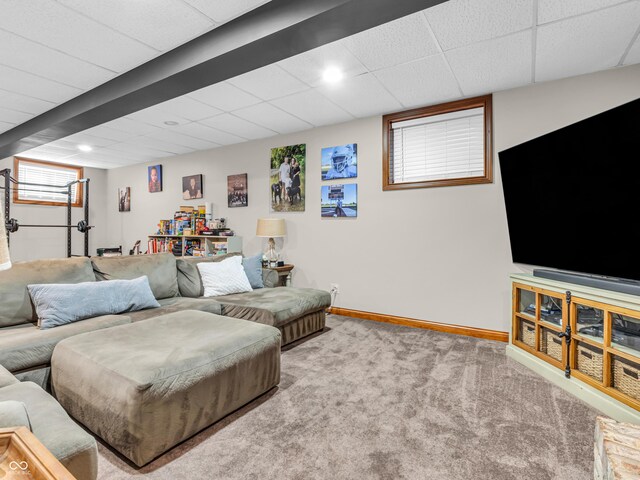 living room with carpet and a paneled ceiling