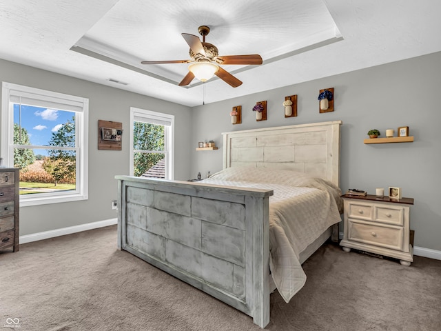 carpeted bedroom featuring a raised ceiling and ceiling fan