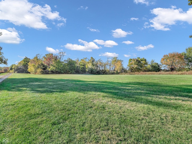 view of yard with a rural view