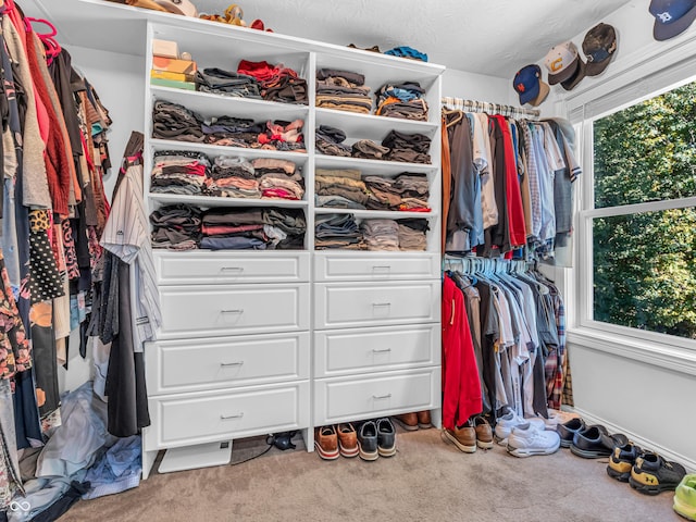 spacious closet with light colored carpet