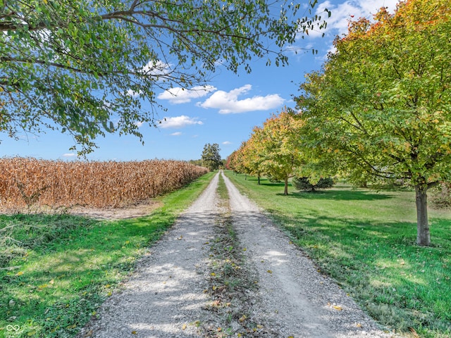 view of road