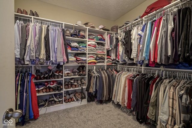 spacious closet featuring carpet flooring