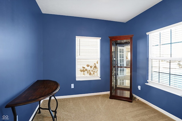 misc room featuring carpet floors and a wealth of natural light