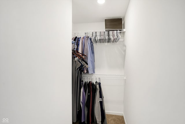 spacious closet featuring carpet flooring