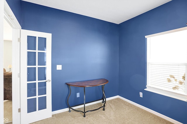 miscellaneous room with a healthy amount of sunlight and carpet flooring