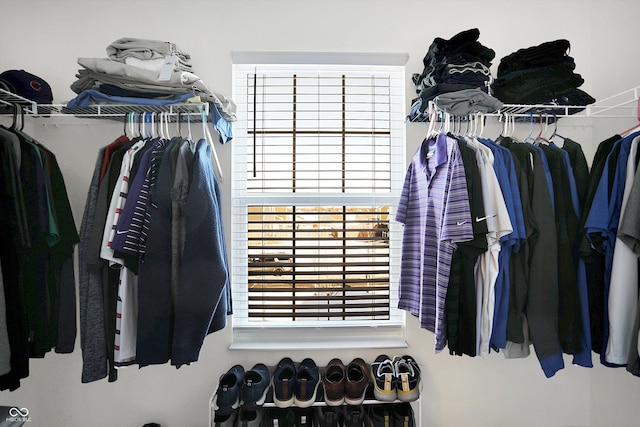 view of spacious closet