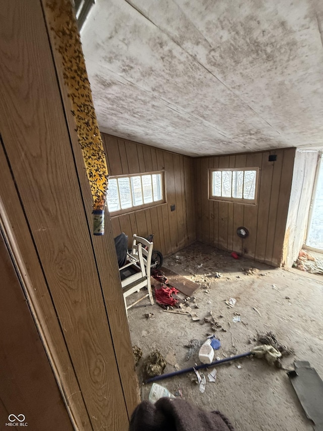 miscellaneous room with vaulted ceiling and wood walls