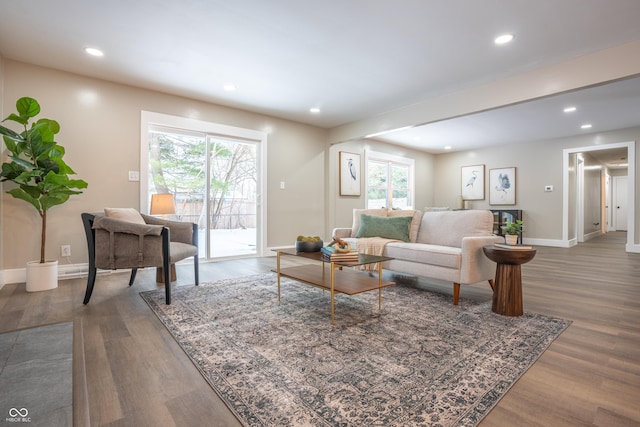 living room featuring hardwood / wood-style flooring