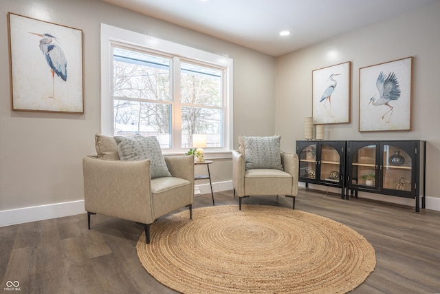 sitting room featuring dark hardwood / wood-style flooring