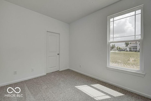 empty room with a wealth of natural light and carpet flooring