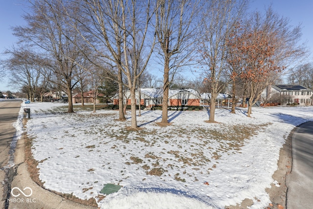 view of snowy yard