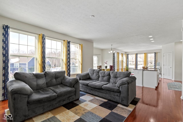 living room featuring dark wood-style flooring and a textured ceiling