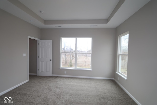 spare room with a tray ceiling and carpet floors