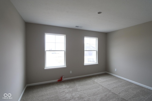 carpeted spare room with a textured ceiling and a healthy amount of sunlight