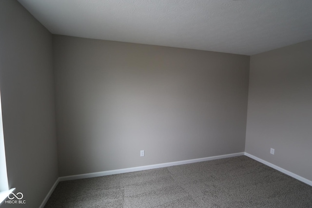 spare room with carpet floors