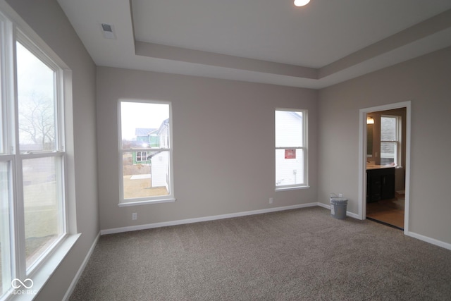 carpeted spare room with a raised ceiling