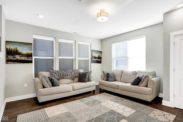 living room featuring dark wood-type flooring