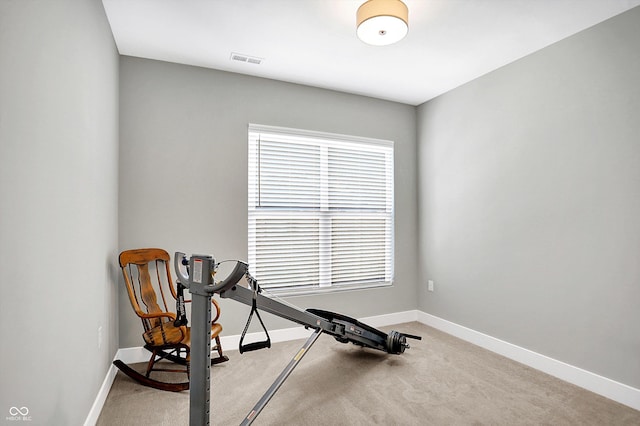 exercise room featuring carpet floors