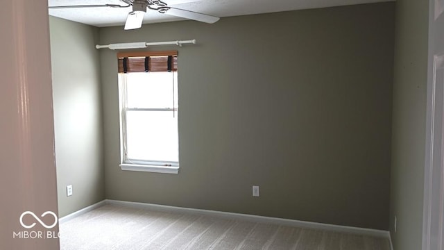 unfurnished room with ceiling fan and carpet