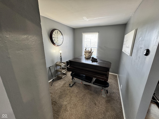 interior space featuring carpet flooring