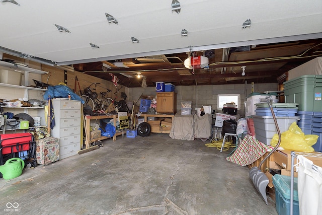 garage with a garage door opener