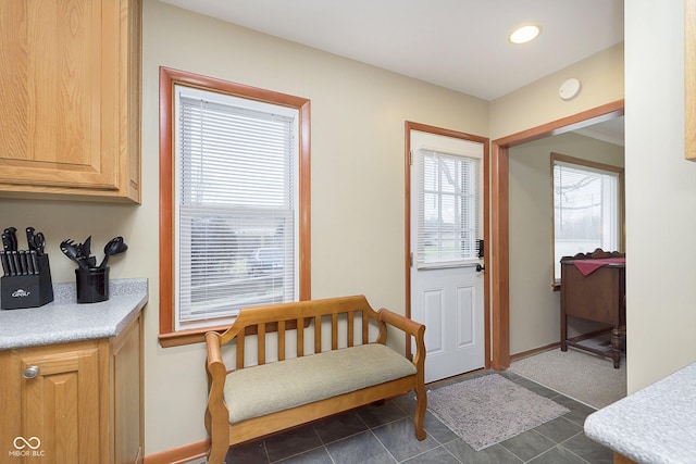 entryway featuring dark tile patterned floors