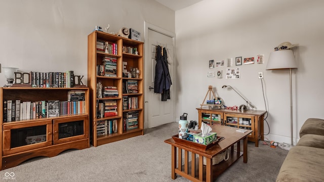 sitting room featuring carpet