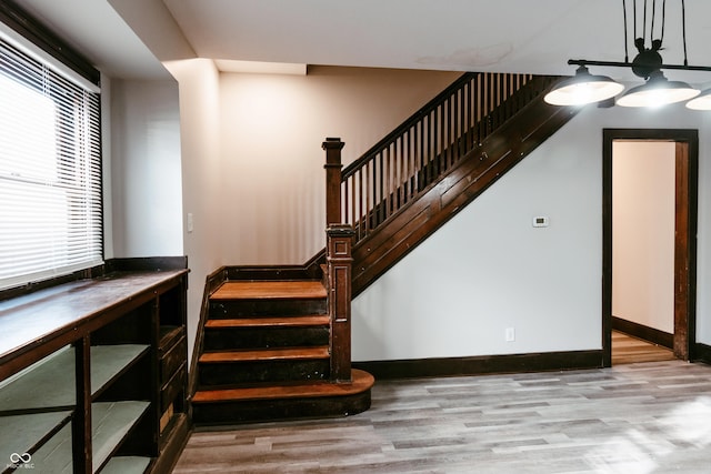 staircase with wood-type flooring