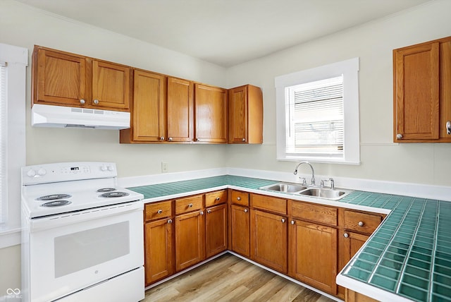 kitchen featuring light hardwood / wood-style floors, sink, and electric range