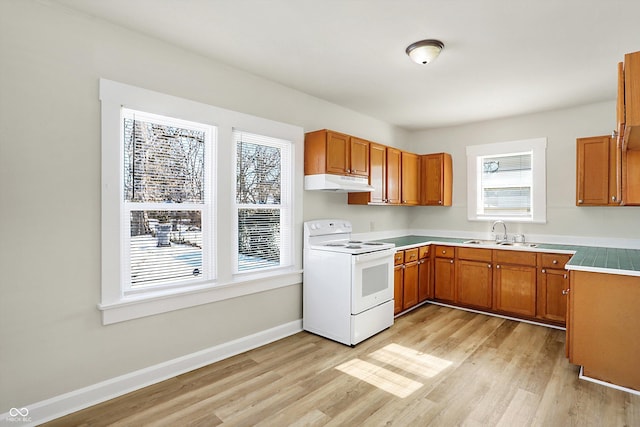 kitchen featuring sink, a wealth of natural light, white range with electric stovetop, and light wood-type flooring