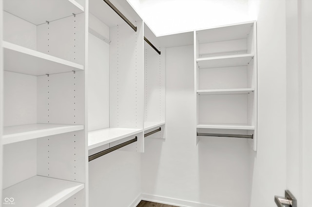 view of walk in closet