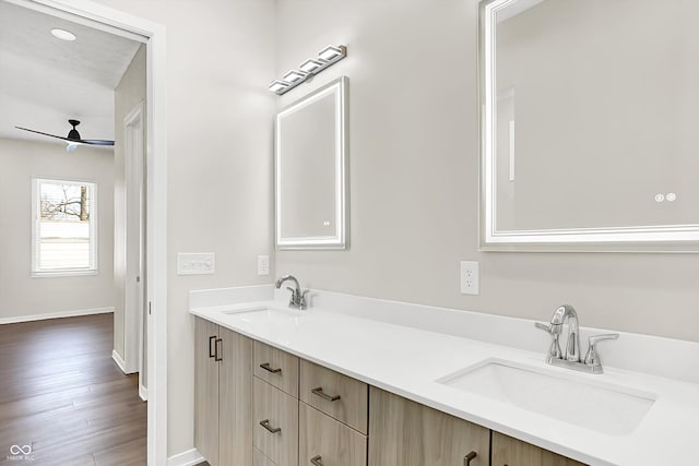 bathroom with vanity and wood-type flooring