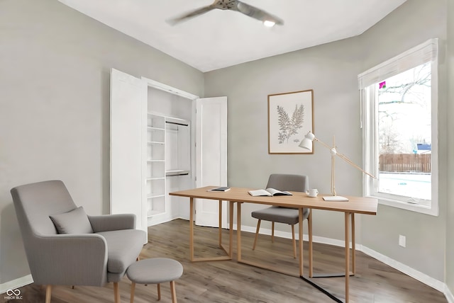 office area featuring hardwood / wood-style flooring and ceiling fan