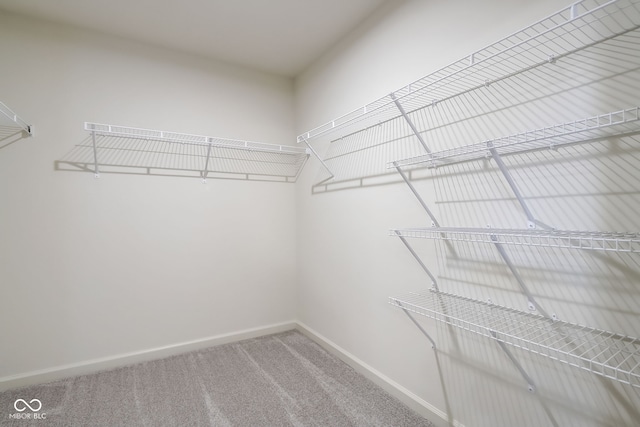 walk in closet featuring carpet floors