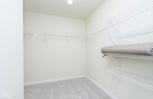 spacious closet with carpet flooring