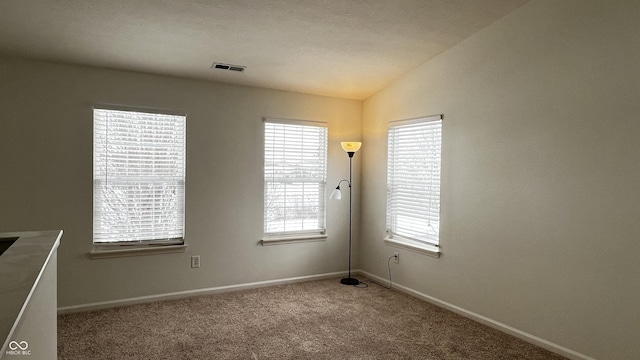 empty room featuring lofted ceiling and carpet floors