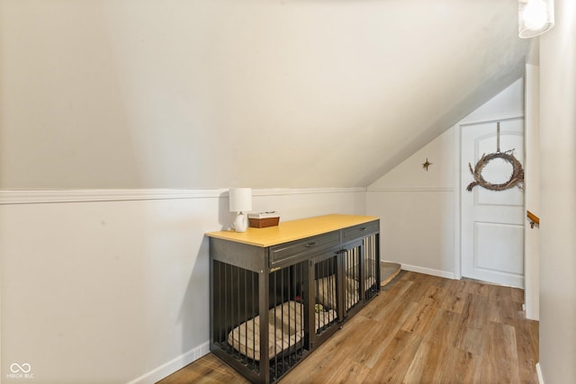 additional living space with lofted ceiling and wood-type flooring