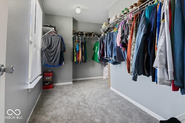 spacious closet with carpet flooring